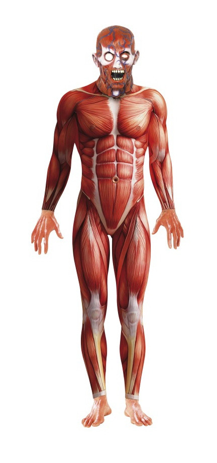 Costume carnevale uomo Halloween Anatomia Umana Uomo Senza Pelle *17022