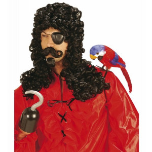 Accessorio Costume Carnevale Parrucca uomo capitano con baffi e pizzo *20011
