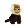 Peluches Scimmia Cotton Top Tamarin 28 cm Keel Toys Plush Ape | pelusciamo.com