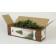 Albero Di Natale Imperial Pine Luci A Led 240 cm. Certificato Everlands PS 16535 Pelusciamo Store Marchirolo